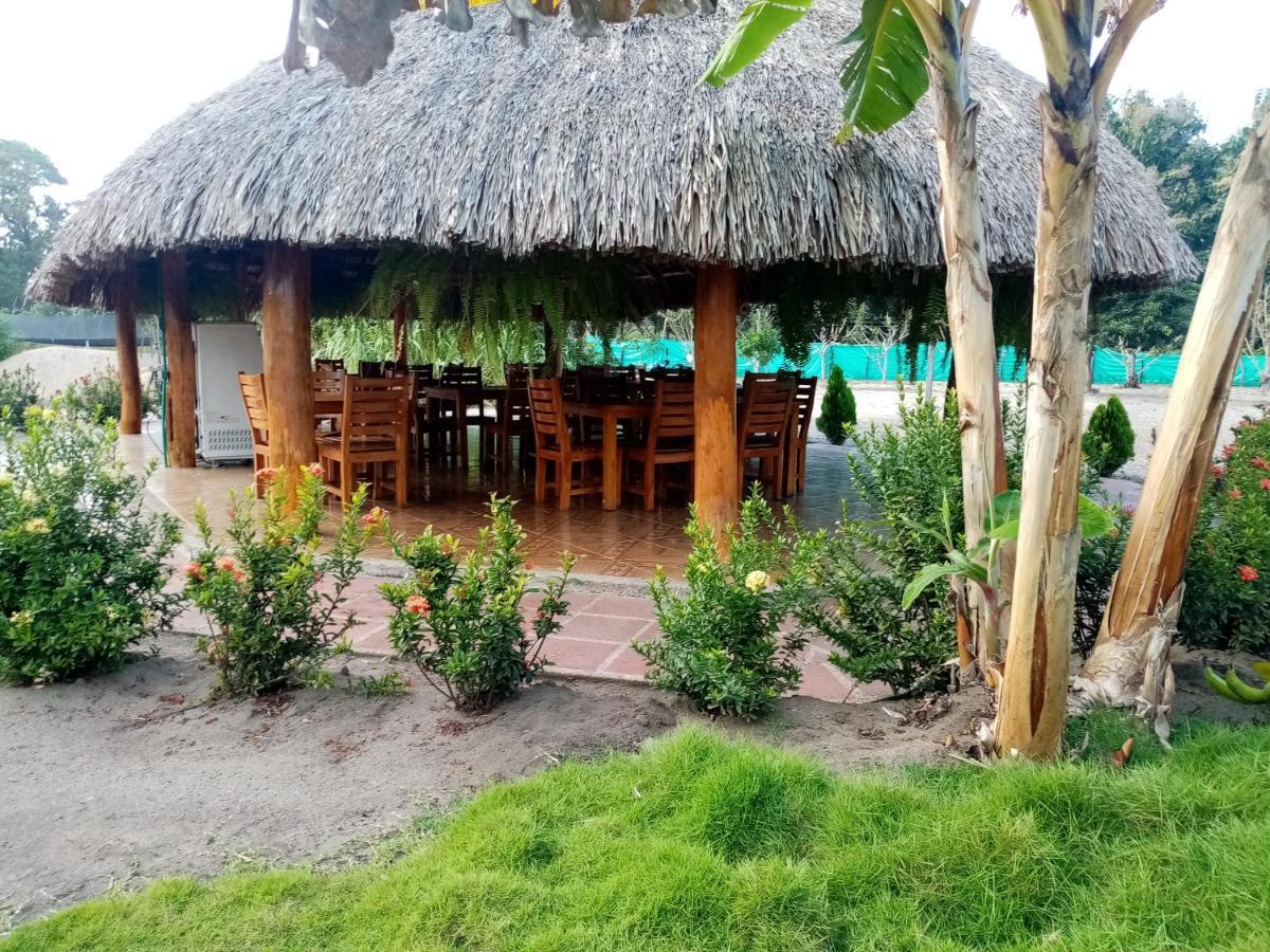 Hostal La Finquita Palomino Eksteriør billede